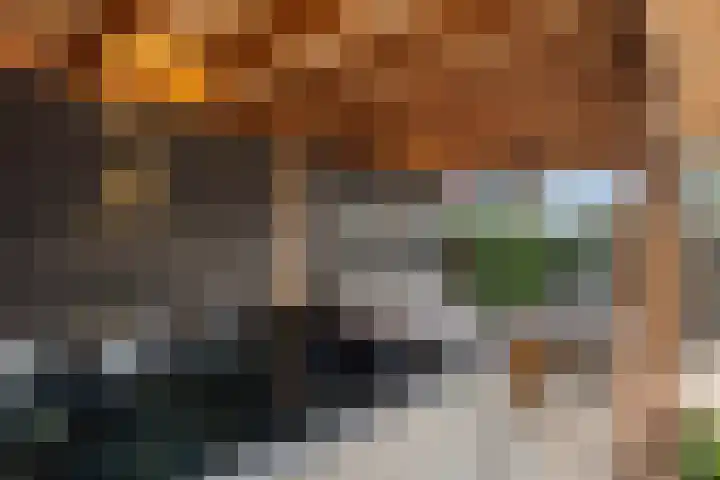 Het Franse Pad 13 Vollenhove thumbnail 29