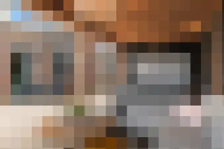Het Franse Pad 13 Vollenhove thumbnail 30