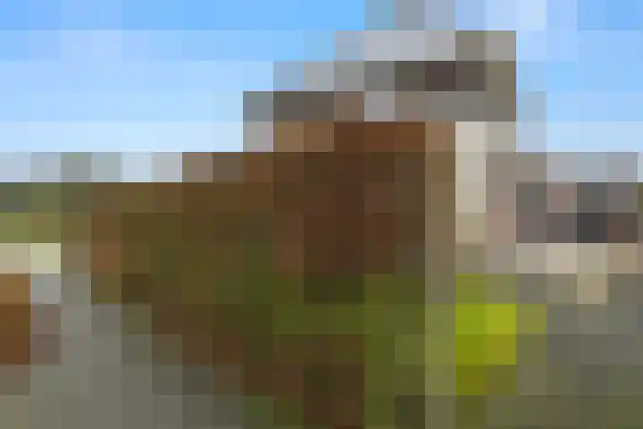 Het Franse Pad 13 Vollenhove thumbnail 34