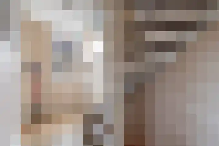 Het Franse Pad 13 Vollenhove thumbnail 35