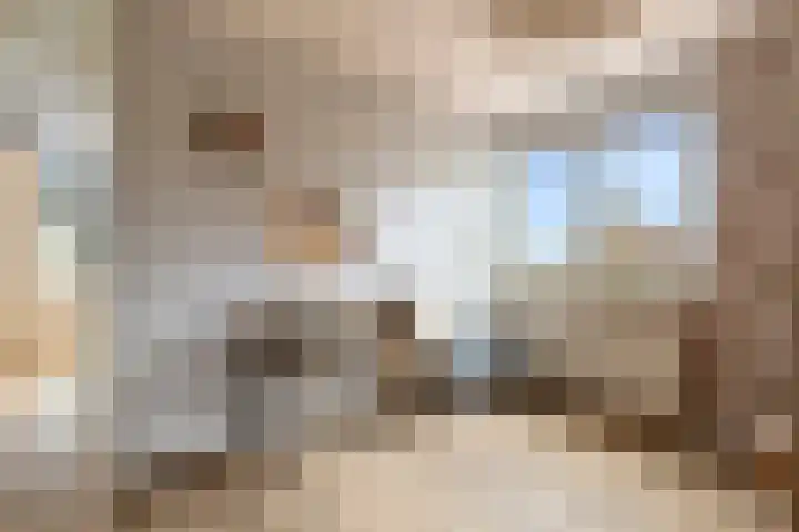 Het Franse Pad 13 Vollenhove thumbnail 38