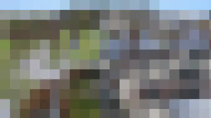 Het Franse Pad 13 Vollenhove thumbnail 46