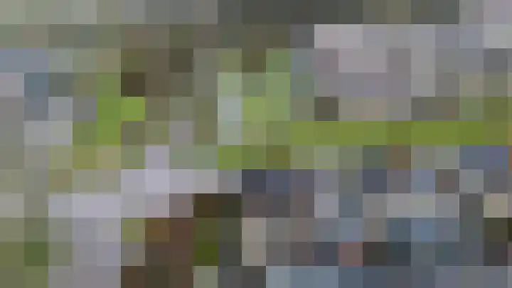 Het Franse Pad 13 Vollenhove thumbnail 47