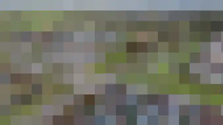 Het Franse Pad 13 Vollenhove thumbnail 48