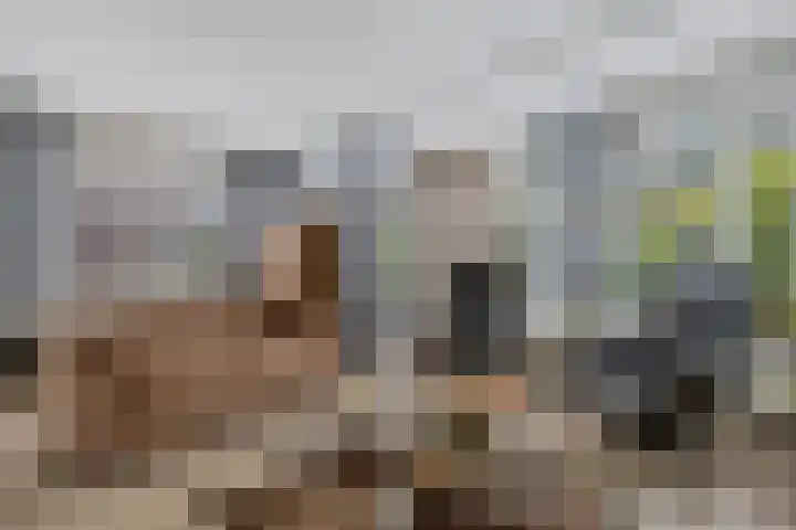 Het Franse Pad 7 Vollenhove thumbnail 13