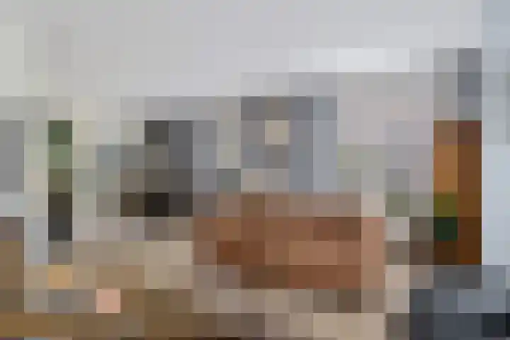 Het Franse Pad 7 Vollenhove thumbnail 15