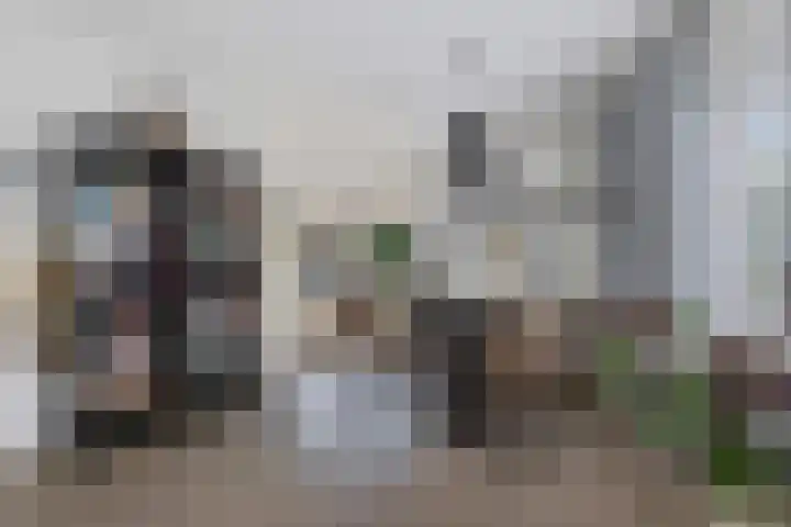 Het Franse Pad 7 Vollenhove thumbnail 17