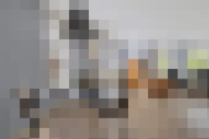 Het Franse Pad 7 Vollenhove thumbnail 18