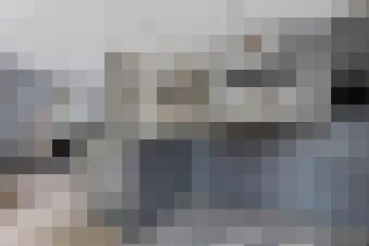 Het Franse Pad 7 Vollenhove thumbnail 20