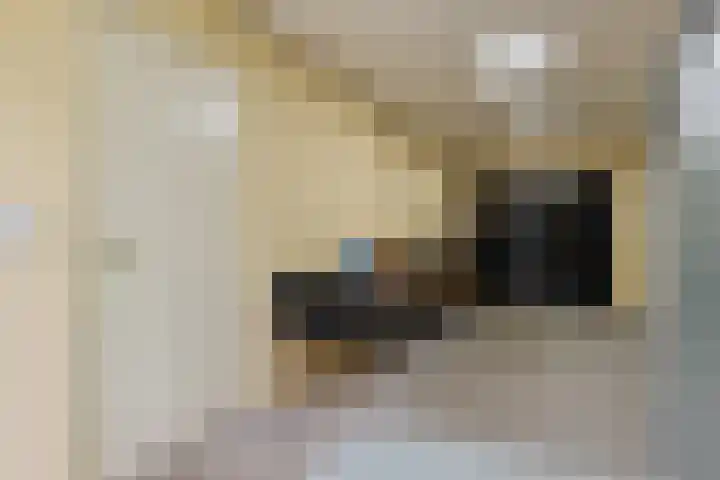 Het Franse Pad 7 Vollenhove thumbnail 21