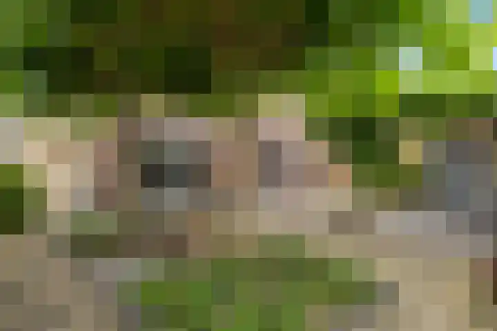 Het Franse Pad 7 Vollenhove thumbnail 25