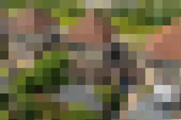 Het Franse Pad 7 Vollenhove thumbnail 26