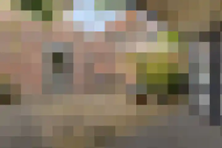 Het Franse Pad 7 Vollenhove thumbnail 27