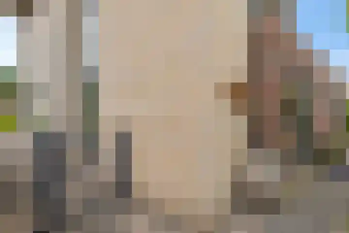Het Franse Pad 7 Vollenhove thumbnail 29