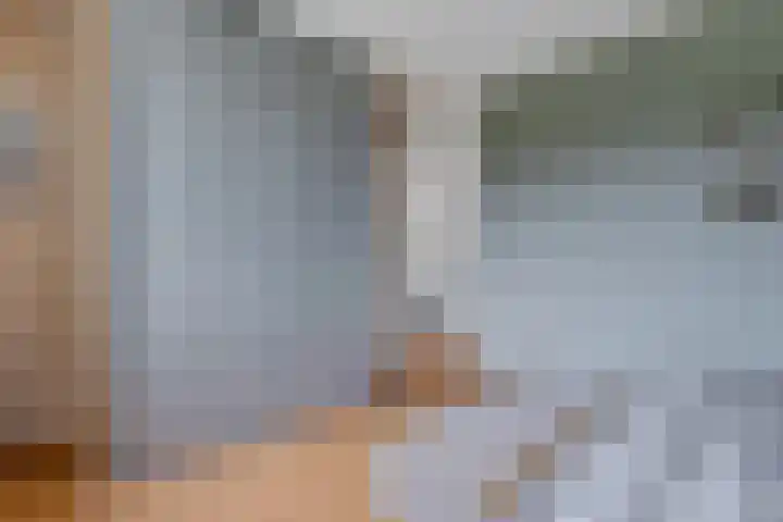 Het Franse Pad 7 Vollenhove thumbnail 32