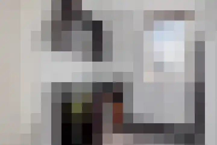 Het Franse Pad 7 Vollenhove thumbnail 35