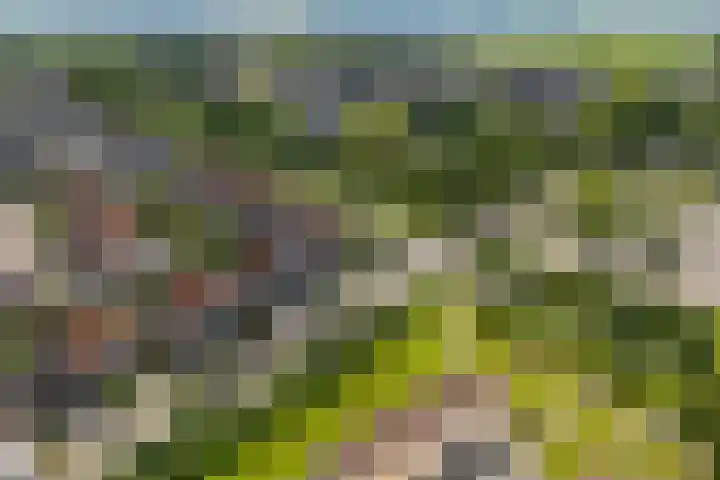 Het Franse Pad 7 Vollenhove thumbnail 6