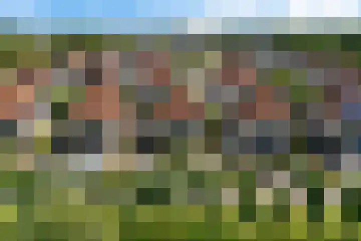 Het Franse Pad 7 Vollenhove thumbnail 7