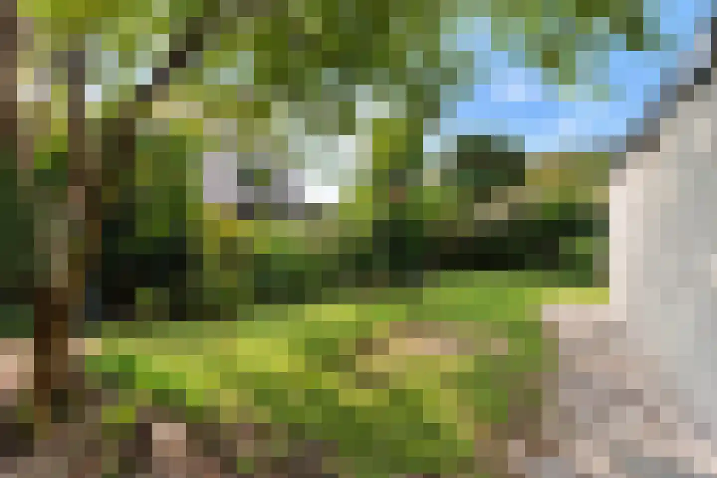 het Fregat 16 Baarn thumbnail 13