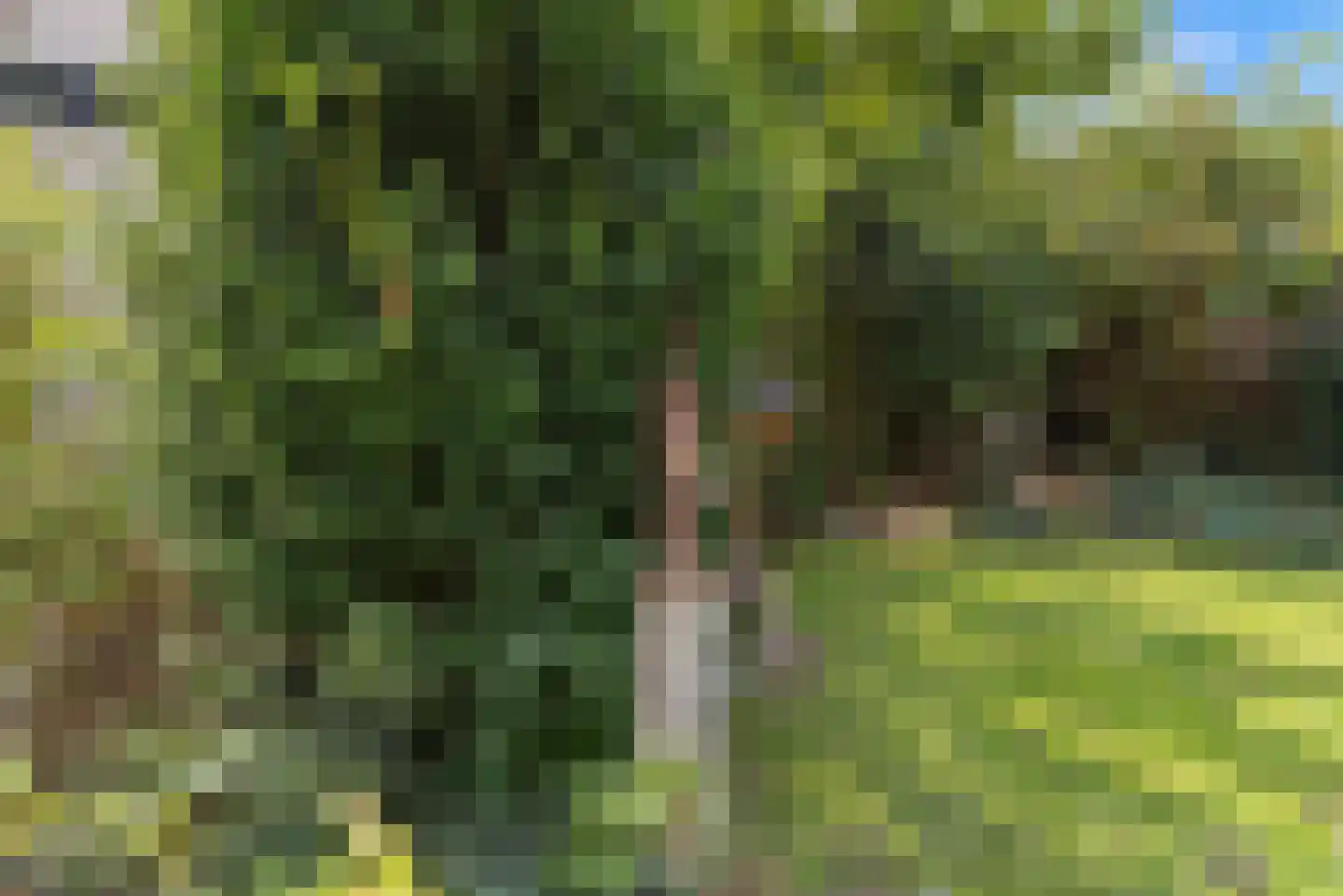 het Fregat 16 Baarn thumbnail 14