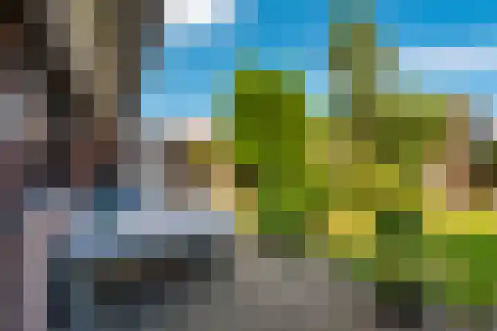 het Galjoen 18 Baarn thumbnail 11