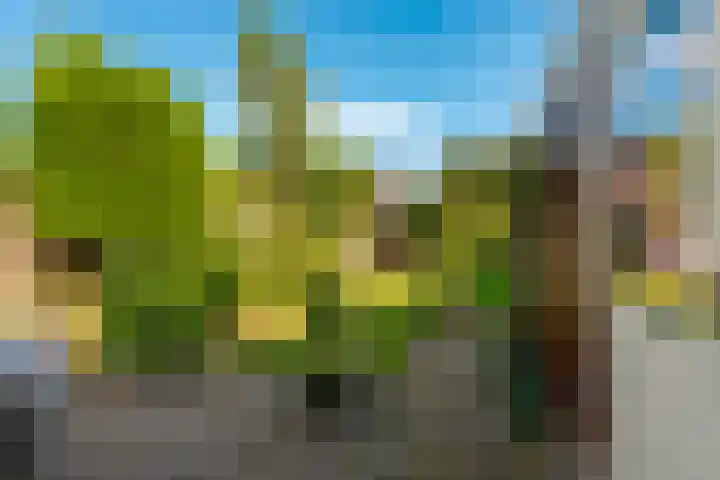 het Galjoen 18 Baarn thumbnail 12