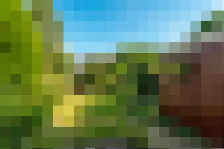 het Galjoen 18 Baarn thumbnail 13