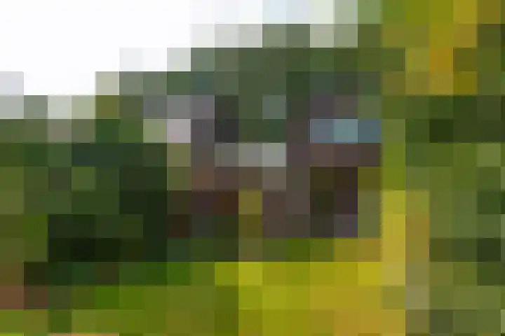 het Galjoen 18 Baarn thumbnail 14