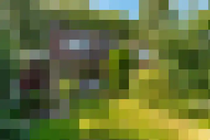 het Galjoen 18 Baarn thumbnail 15