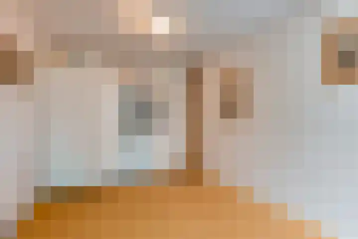 het Galjoen 18 Baarn thumbnail 18