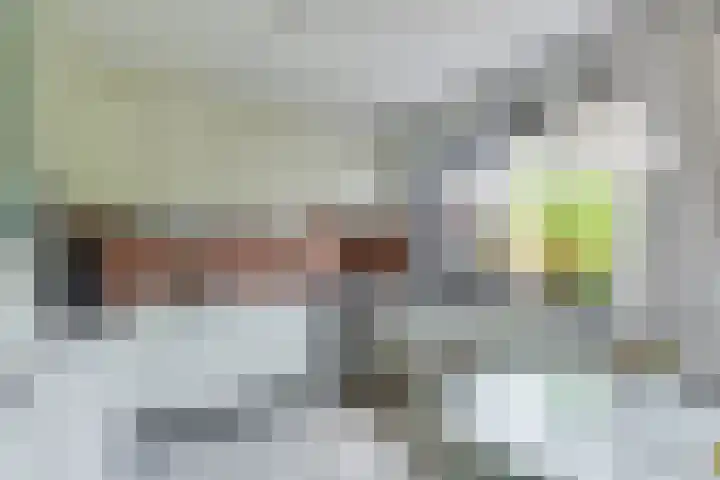 het Galjoen 18 Baarn thumbnail 8