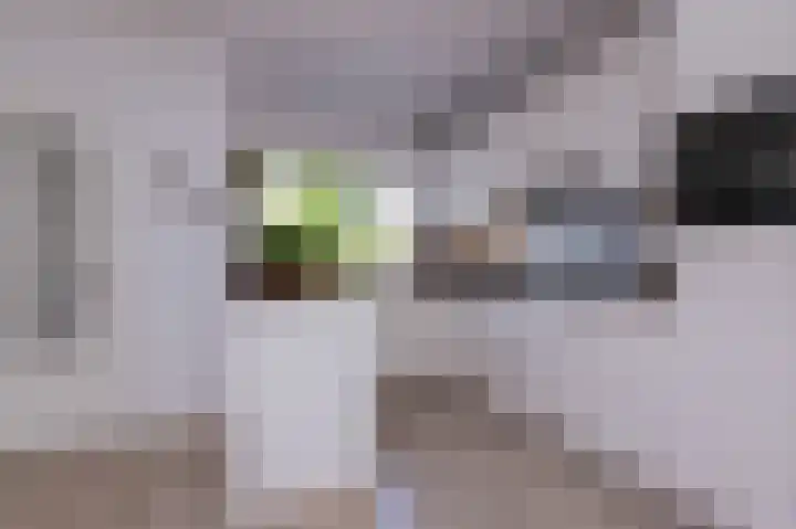 Het Gangwerk 12 Hoorn thumbnail 18