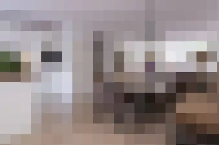 Het Gangwerk 12 Hoorn thumbnail 23