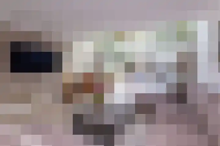 Het Gangwerk 12 Hoorn thumbnail 24