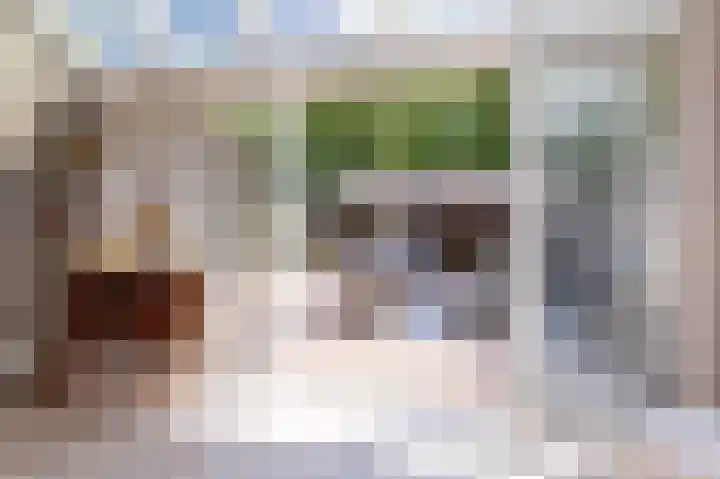 Het Gangwerk 12 Hoorn thumbnail 28
