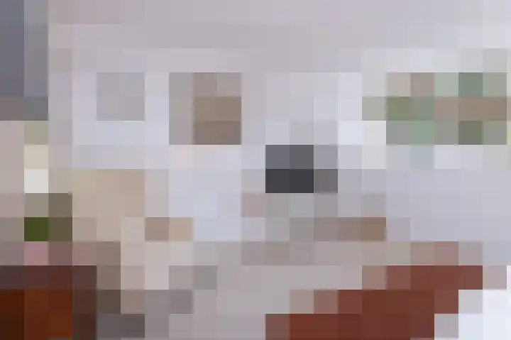 Het Gangwerk 12 Hoorn thumbnail 31
