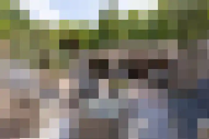 Het Gangwerk 12 Hoorn thumbnail 4