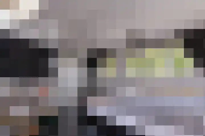 Het Gangwerk 12 Hoorn thumbnail 43