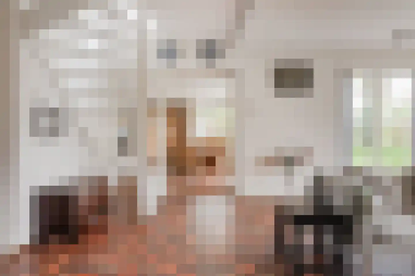 Het Gangwerk 18 Hoorn thumbnail 10