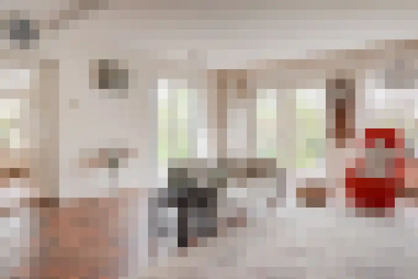 Het Gangwerk 18 Hoorn thumbnail 11