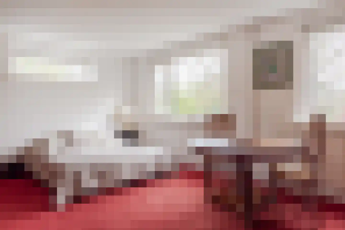Het Gangwerk 18 Hoorn thumbnail 24