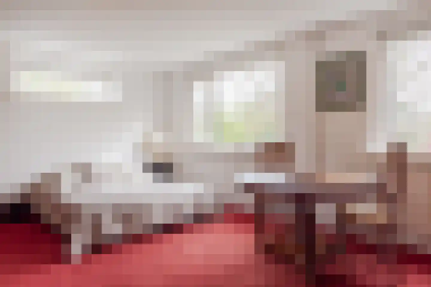 Het Gangwerk 18 Hoorn thumbnail 24