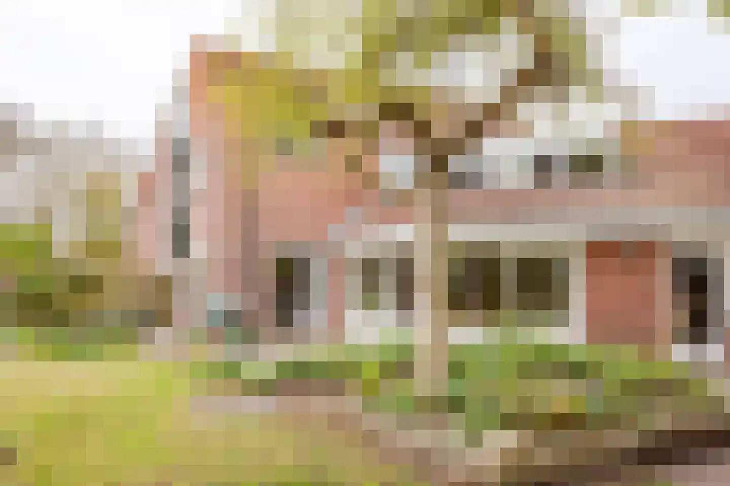 Het Gangwerk 18 Hoorn thumbnail 42
