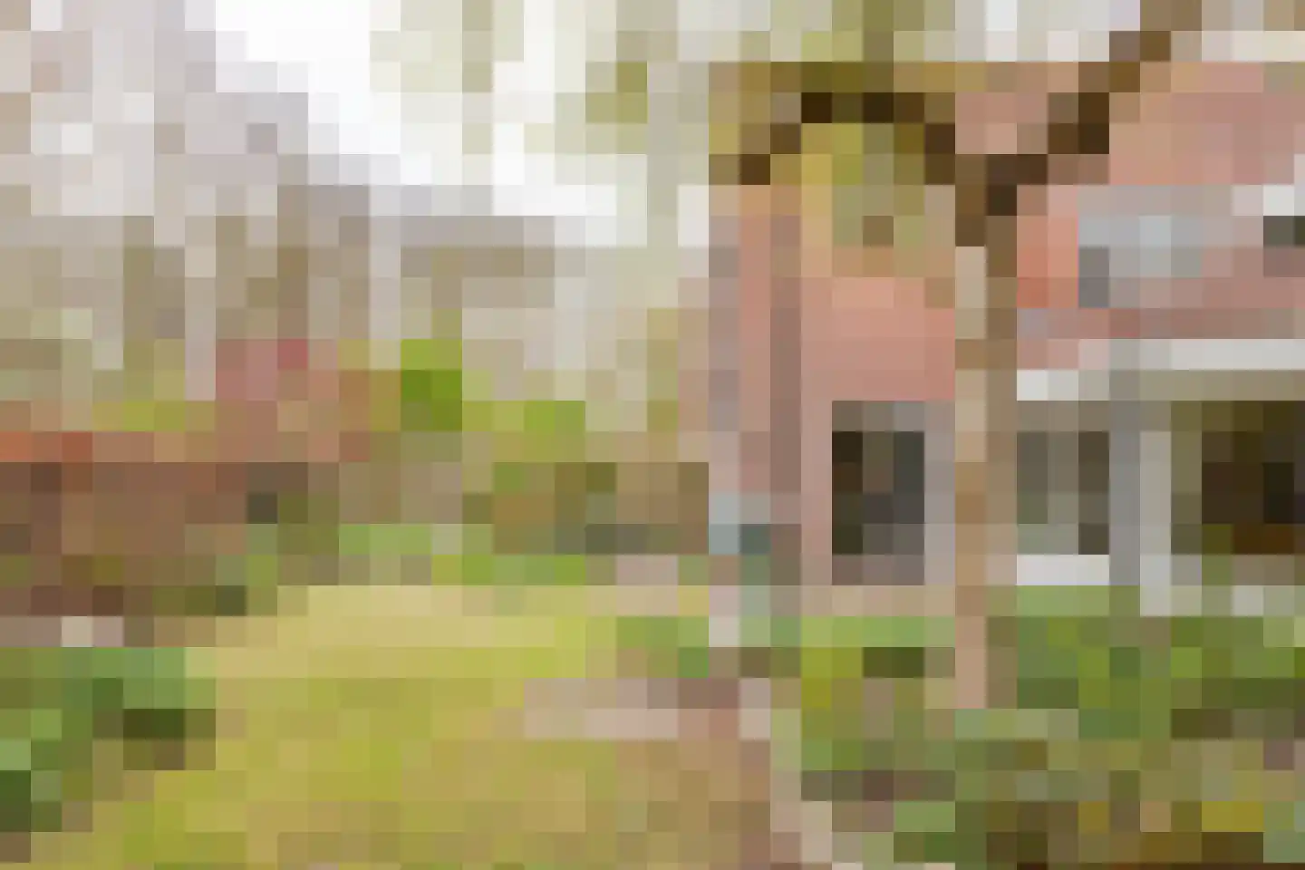 Het Gangwerk 18 Hoorn thumbnail 43