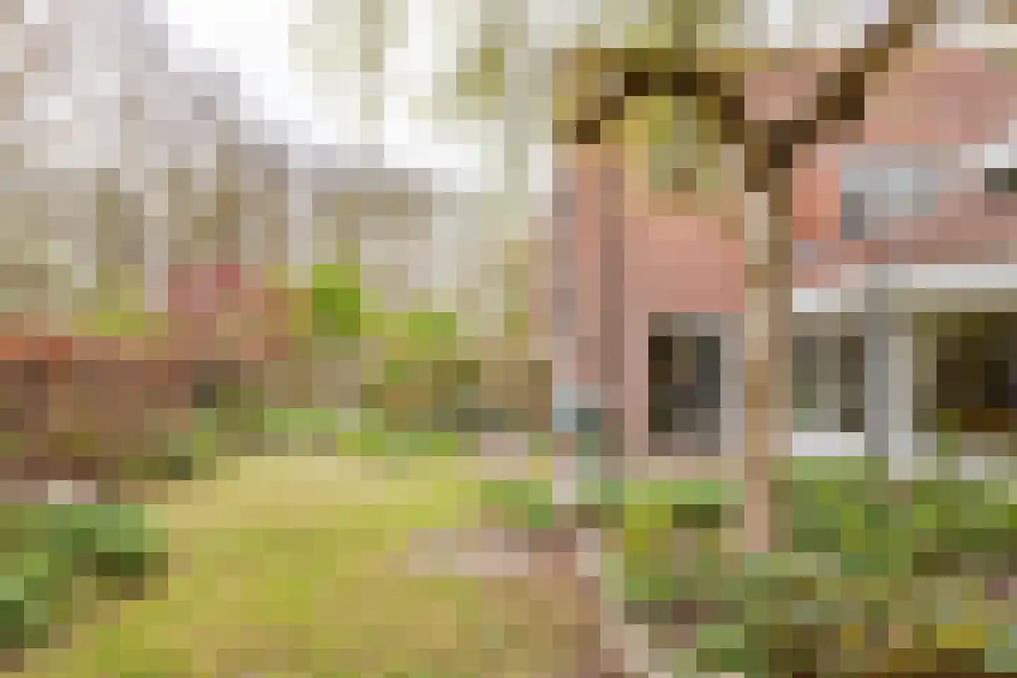 Het Gangwerk 18 Hoorn thumbnail 43