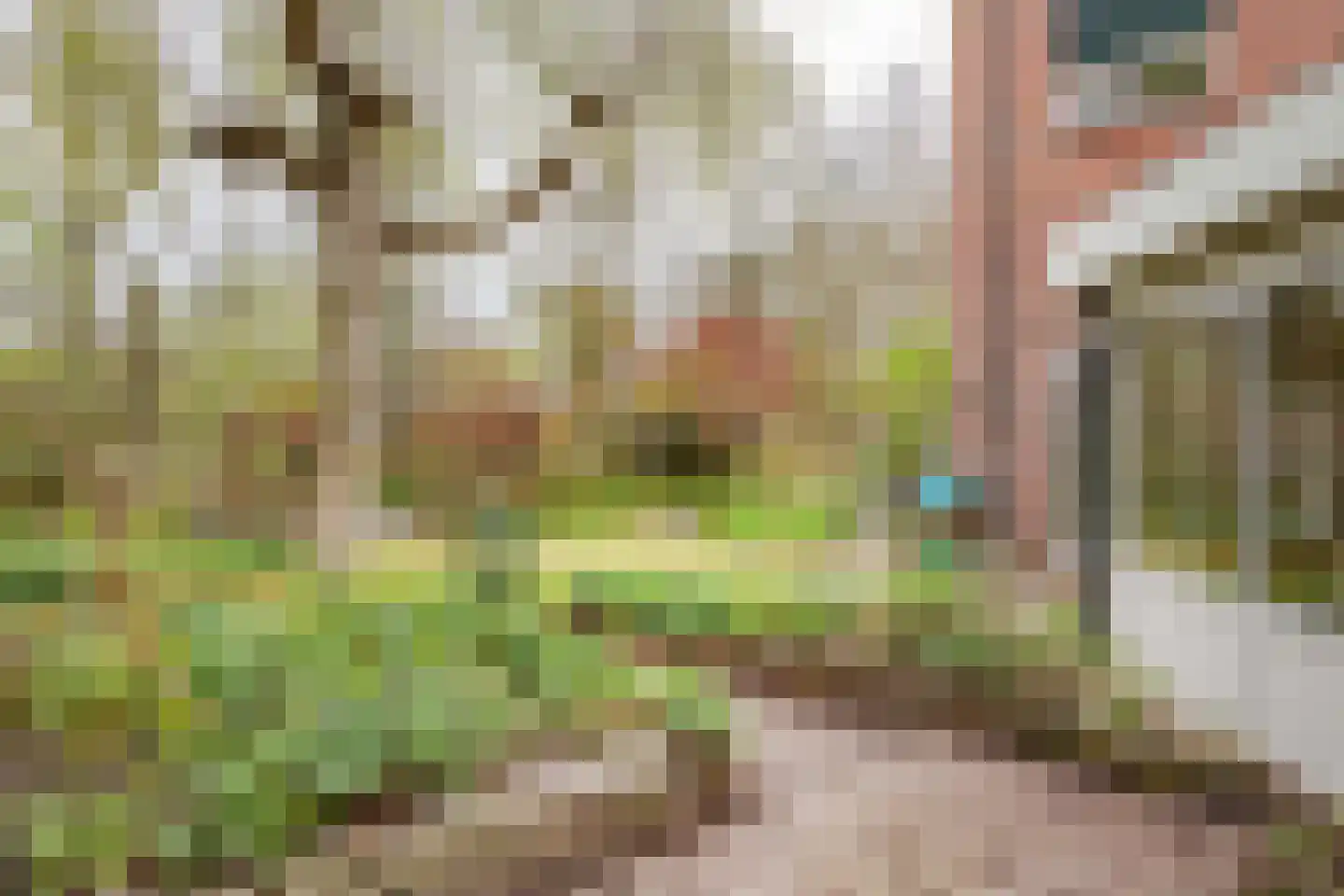 Het Gangwerk 18 Hoorn thumbnail 44