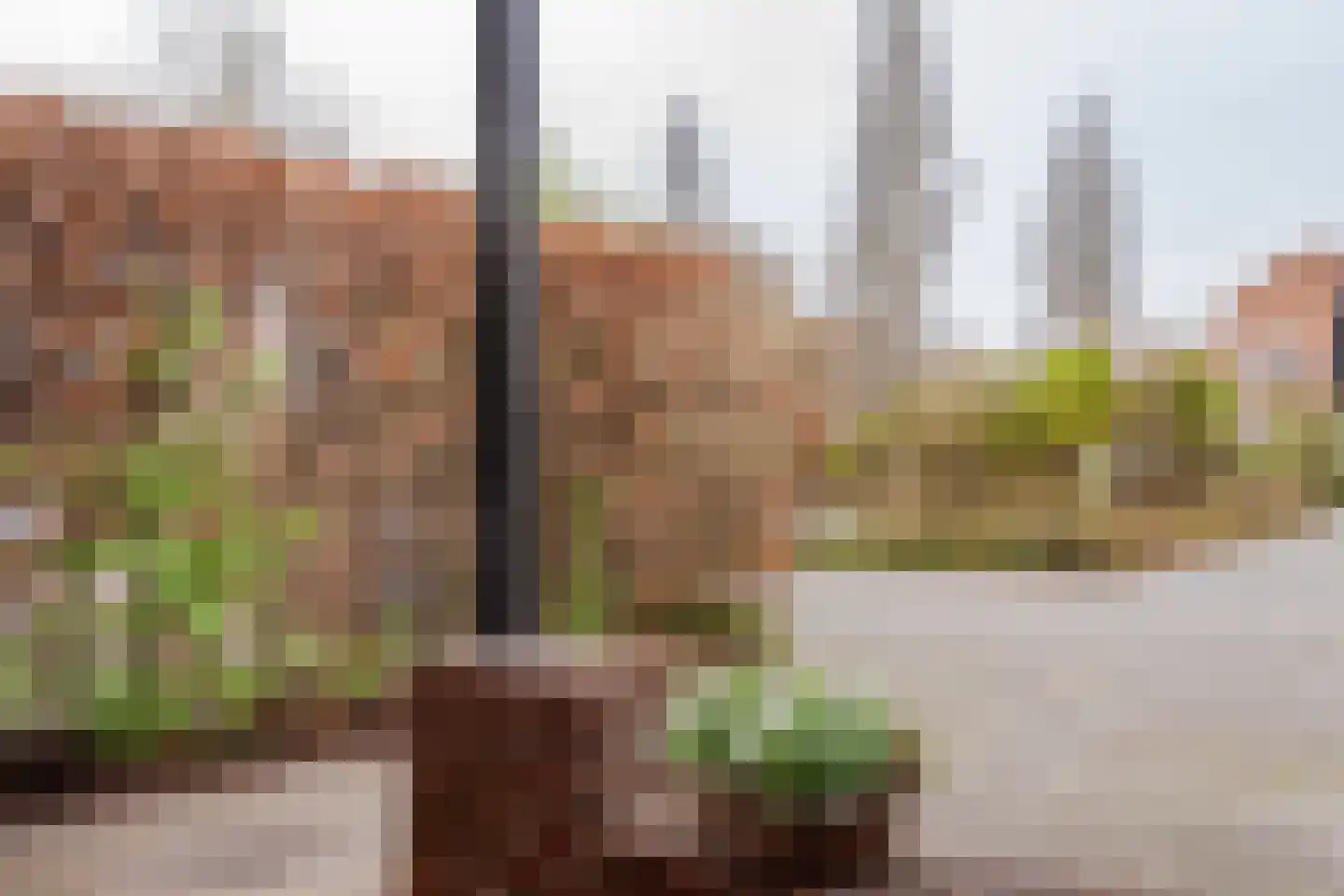 Het Gangwerk 18 Hoorn thumbnail 54