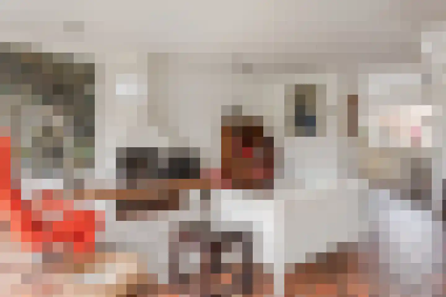 Het Gangwerk 18 Hoorn thumbnail 7