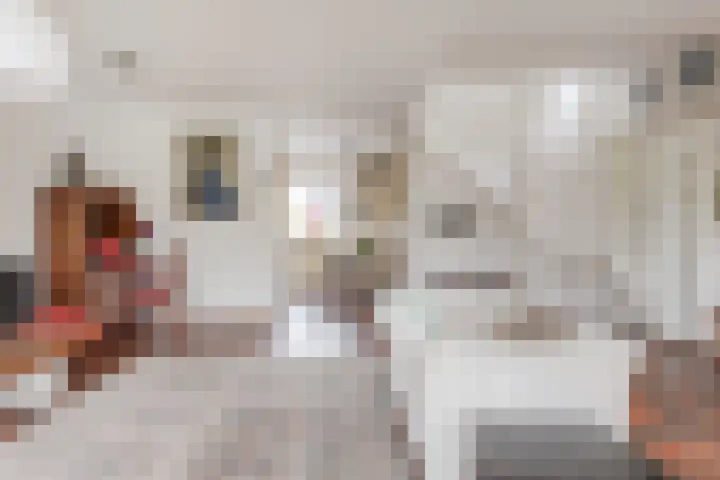 Het Gangwerk 18 Hoorn thumbnail 8