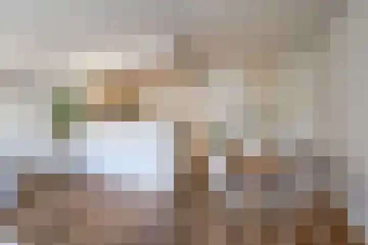 Het Gangwerk 38 Hoorn thumbnail 25